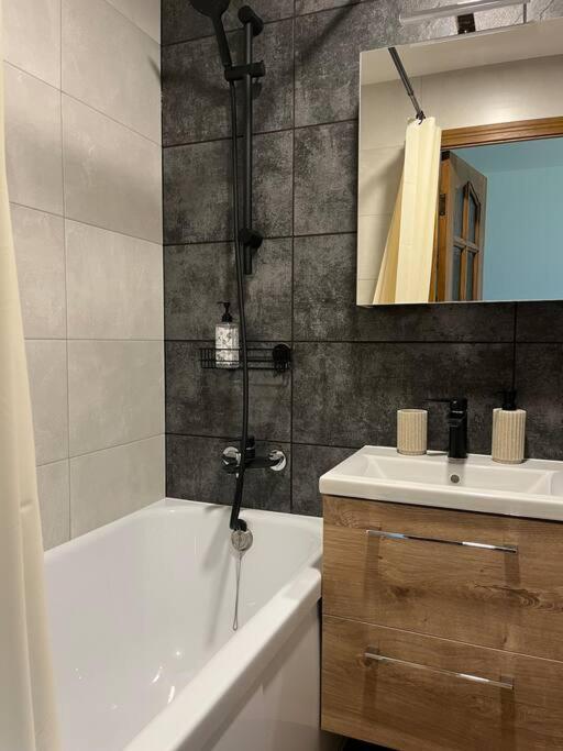 Apartment Jelgavas 7 *